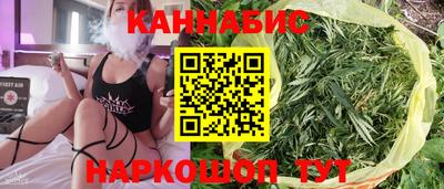 сатива Балахна