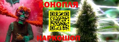 сатива Балахна
