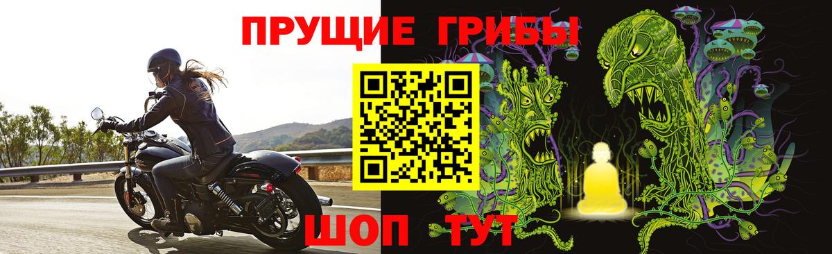 Гурьевск  Псилоцибиновые грибы ЛСД  Вход с VPN  Галлюциногенные грибы Psilocybine cubensis 